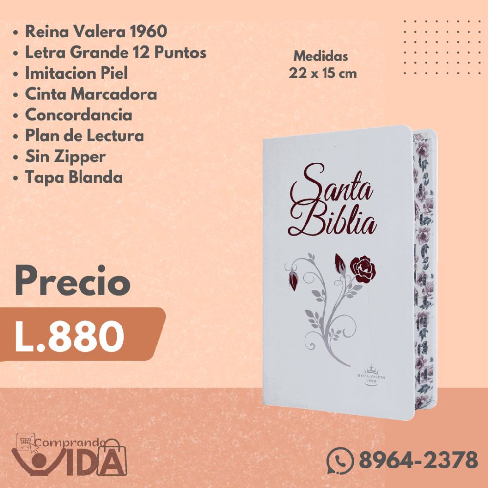 RVR066CLGPJRTI- BLANCA