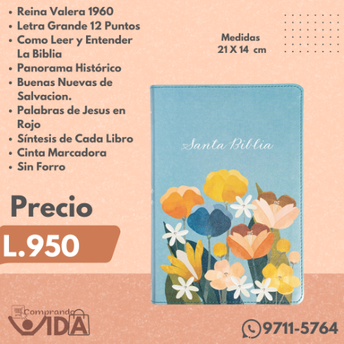 Biblia Letra Grande Aqua