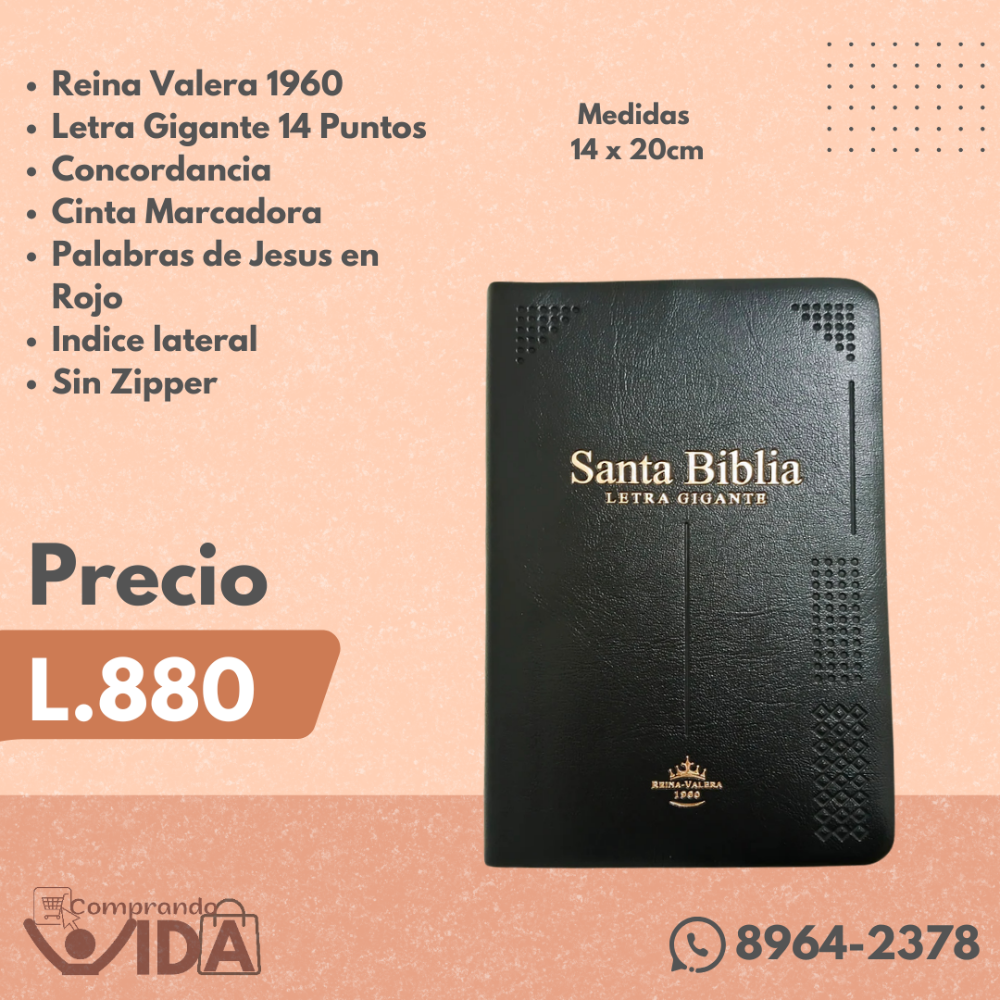 RVR062CLGIPJRTI-PRETO