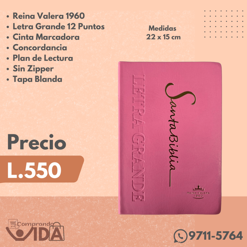 RVR062CLG PE ROSADO