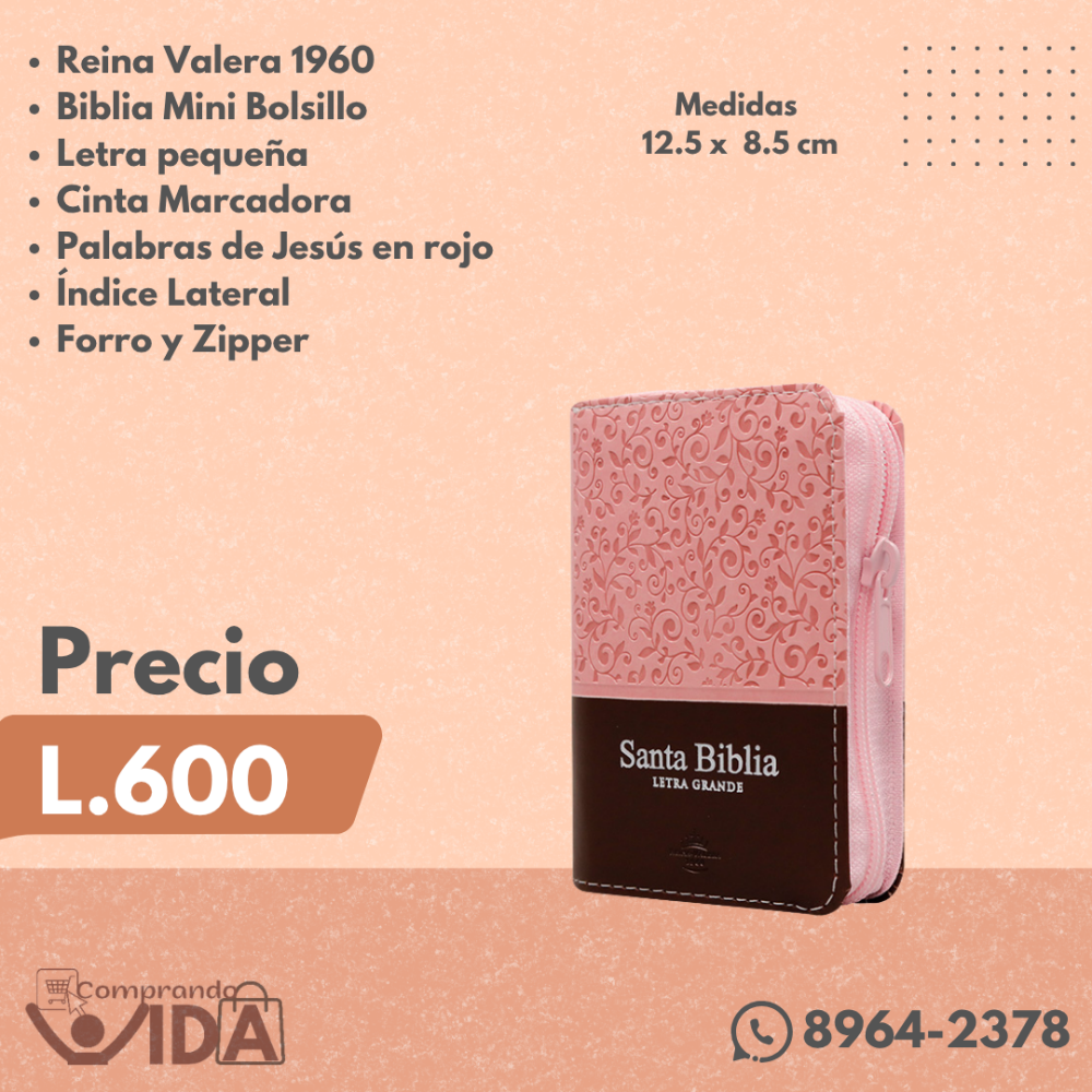 RVR16CPJRZTI MINI ROSA MARRON