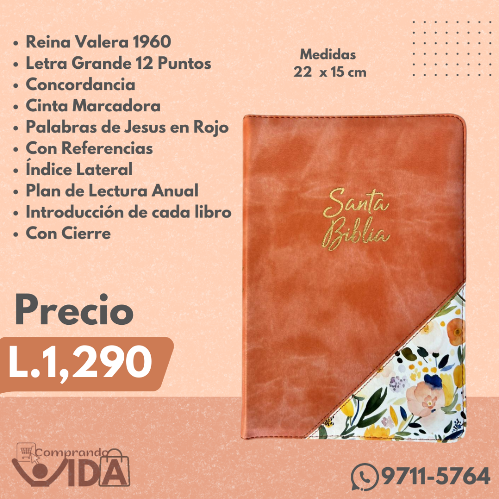 BIBLIA HOLMAN 12 PT CARAMELO