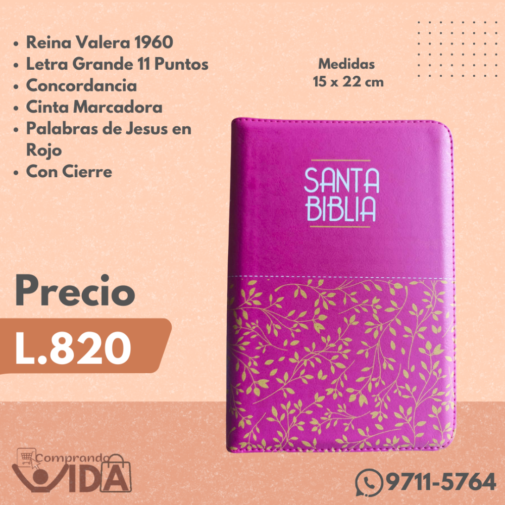 RVR065CZLG PJR FUCSIA