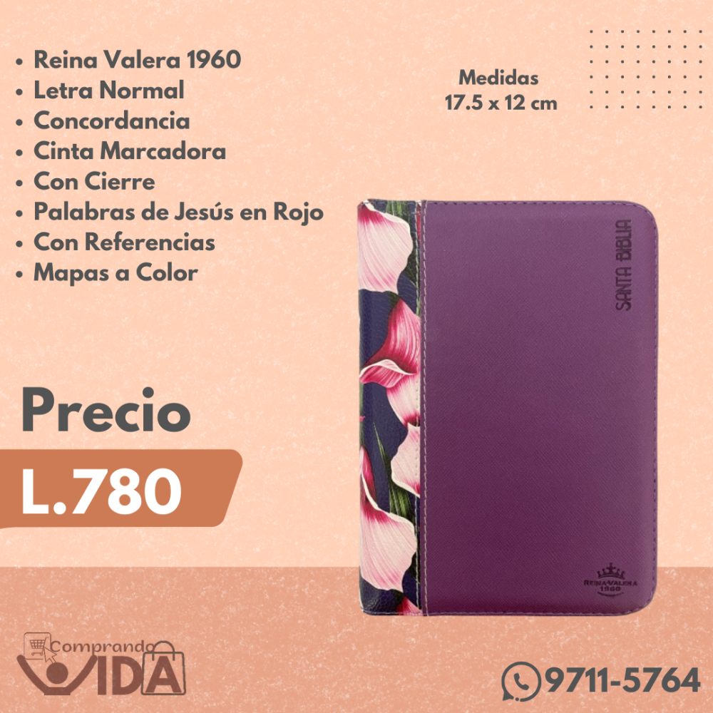 RVR046CZLM FLORES LILA