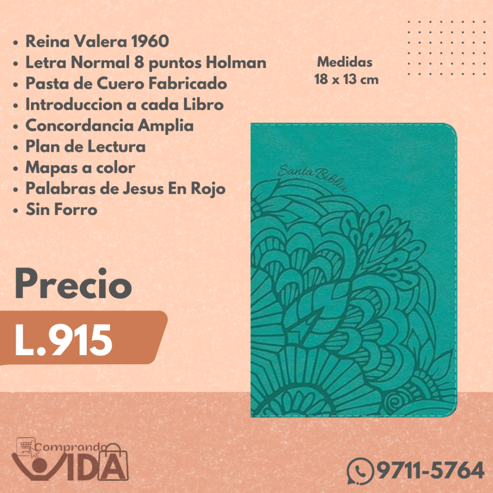 BIBLIA COMPACTA AQUA HOLMAN