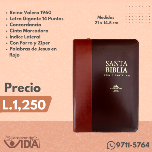 Biblia Letra Gigante 14 Puntos