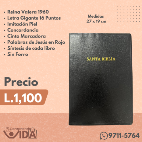 Biblia Letra Super Gigante 16 Puntos Negra
