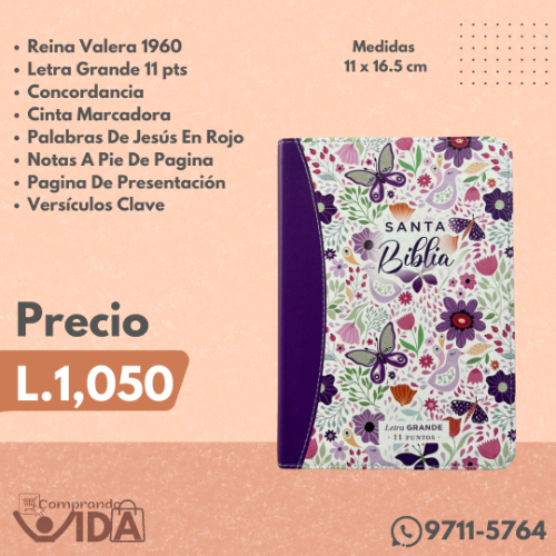 RVR60045CCPLGPJR MORADO OSCURO