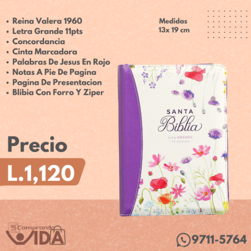 RVR60045CZCPLGPJR MORADO ZIPER