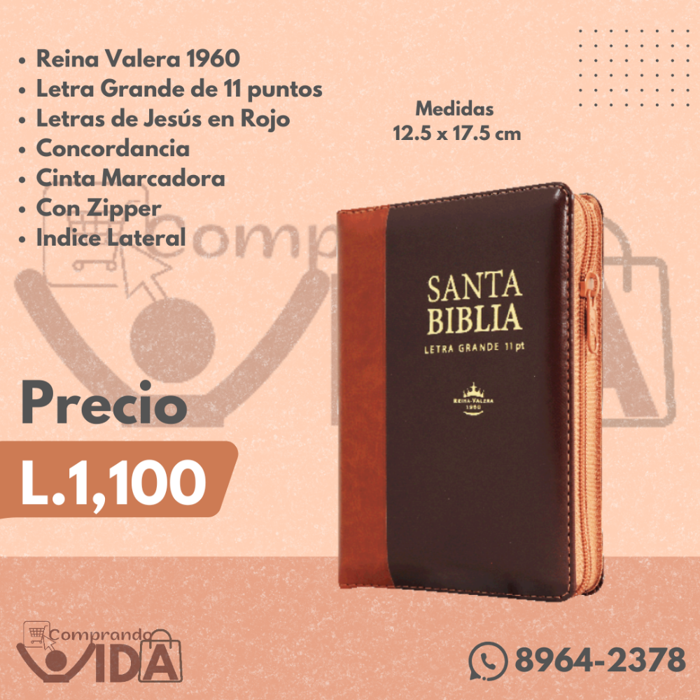 Biblia Letra Grande 11pt