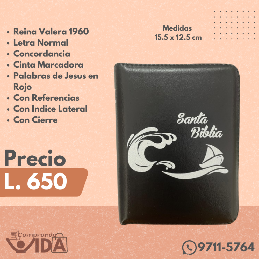 RVR025CZLM BIB PJR NEGRO