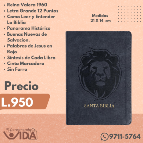 Biblia Letra Grande Leon Ceniza