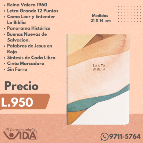 Biblia Letra Grande Acuarela