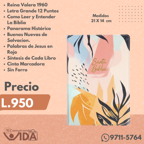 BIBLIA LETRA GRANDE MULTICOLOR