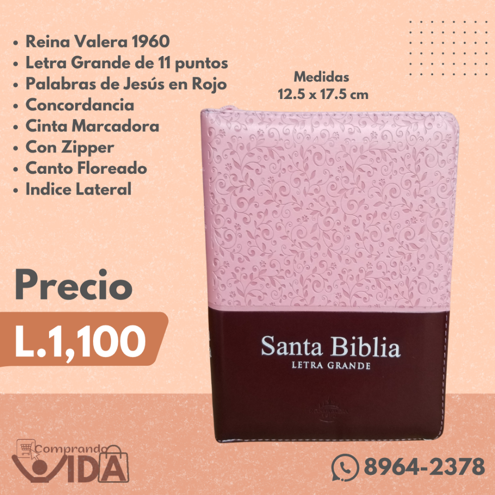 RVR046cLSGiPJRTI ROSA MARRON 11 PUNTOS