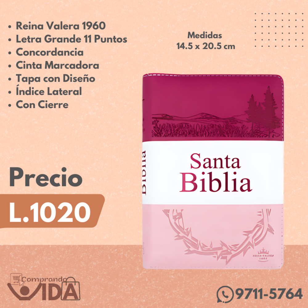 RVR056CLGPJRTIZ ROSA-BLANCO