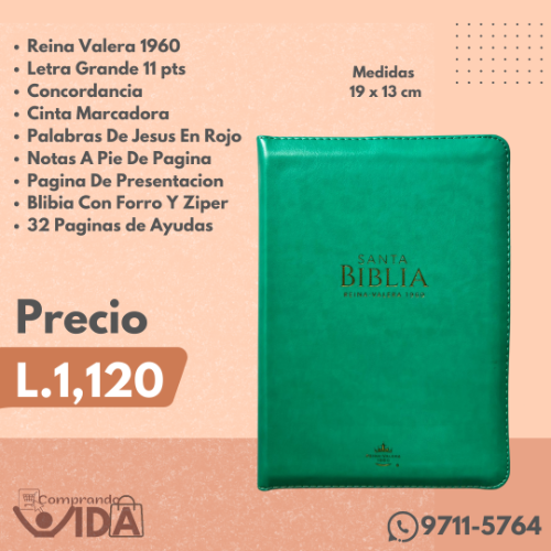 RVR60045CZLGPJR TURQUESA