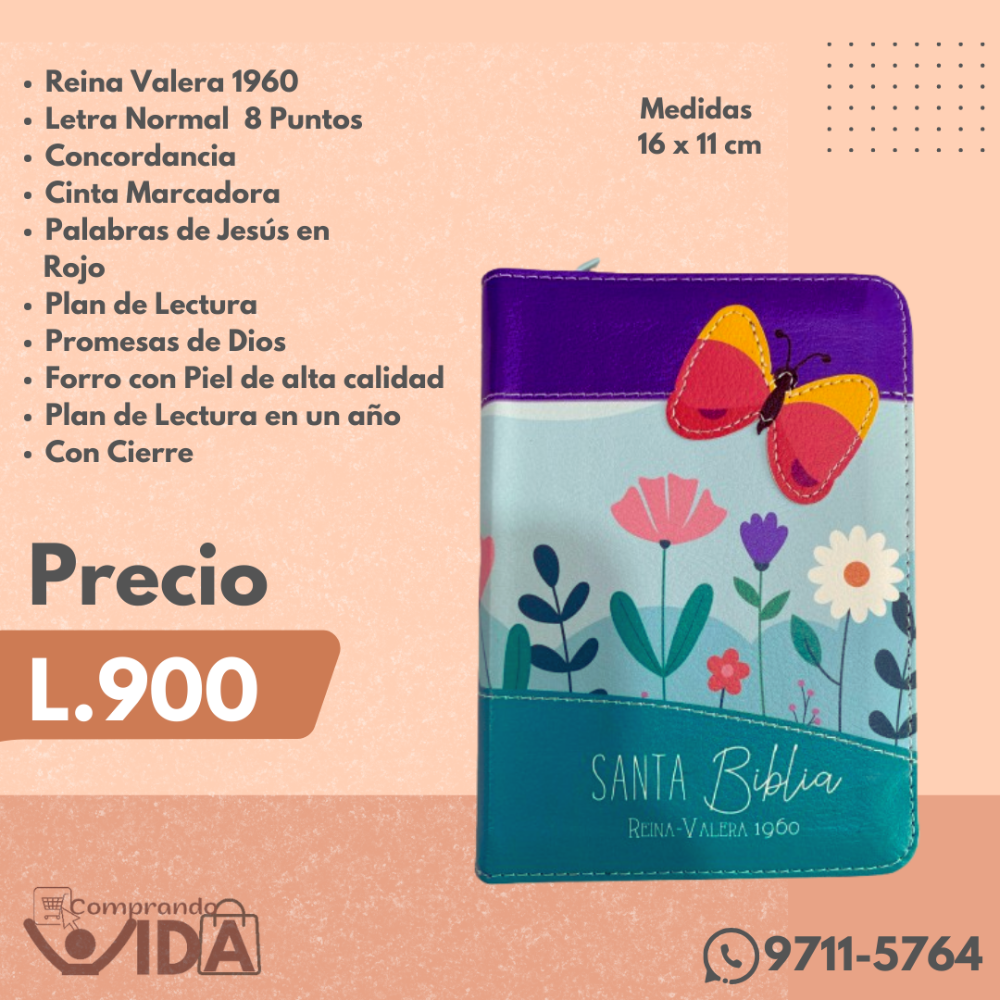RVR60025CZ MARIPOSA