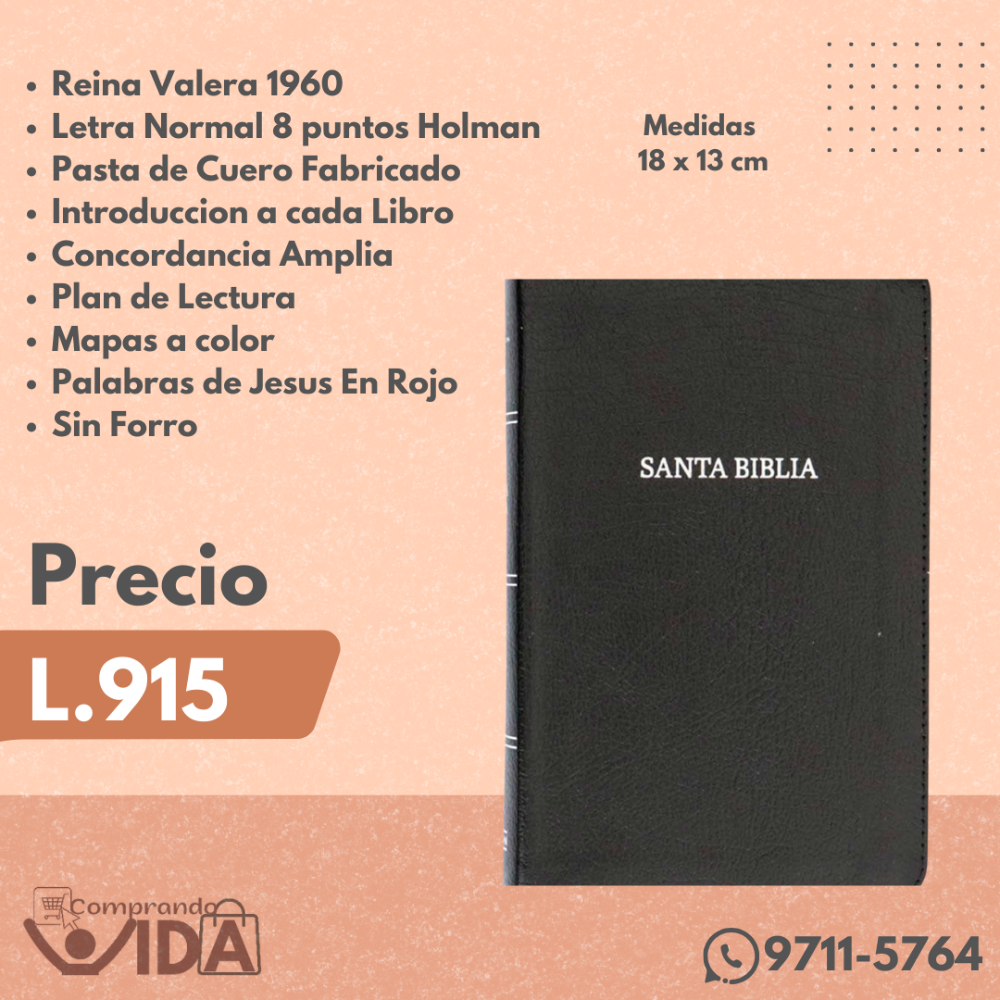 BIBLIA COMPACTA NEGRA HOLMAN