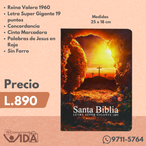 RVR080CLSIPJR 19 PTS ECONOMICA