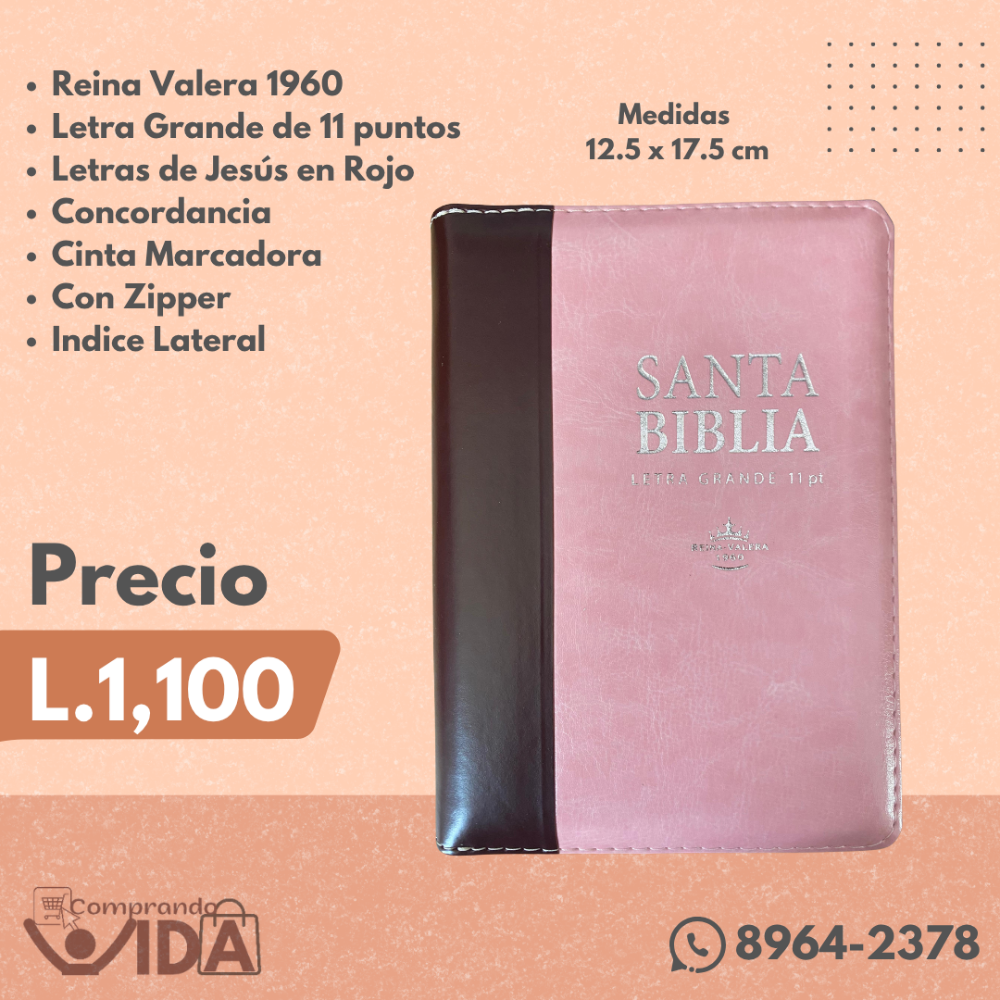 RVR046CLSGIPJRZTI-ROSA/Marron