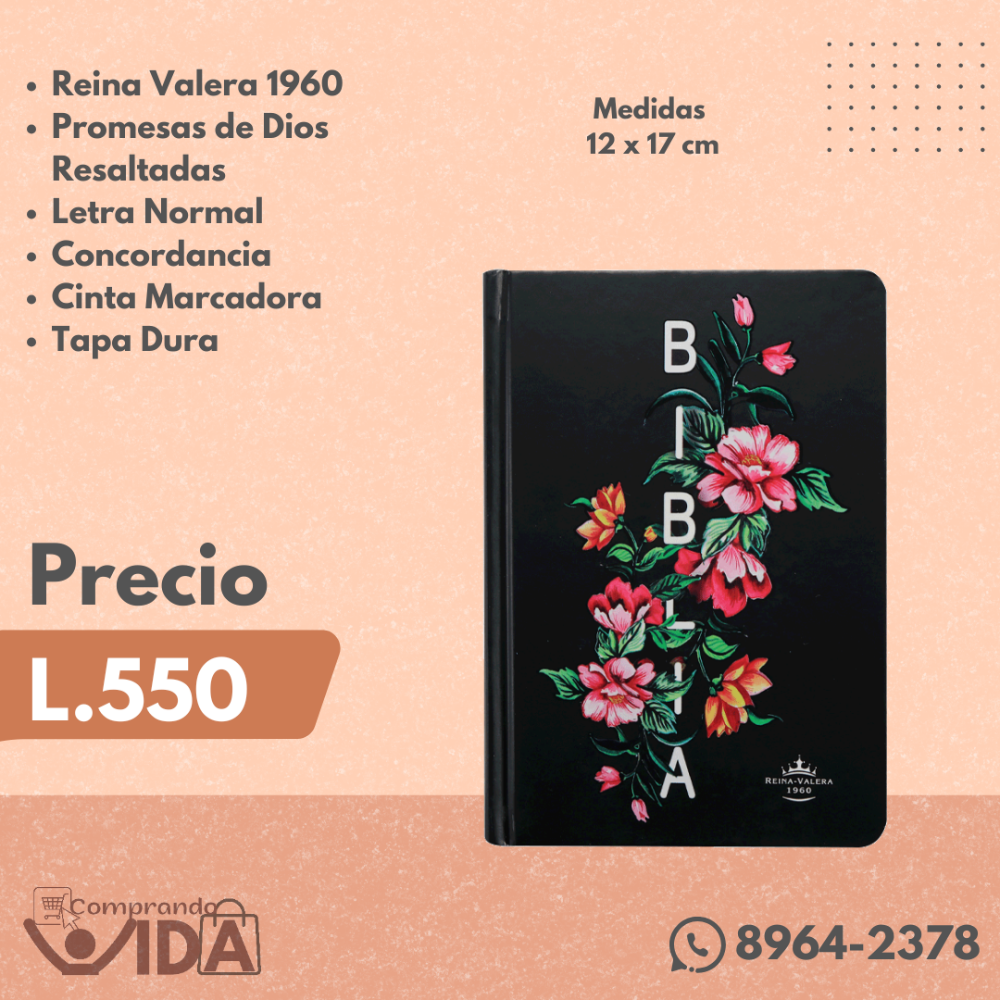 RVR043CLMFB TAPA DURA PROMESAS