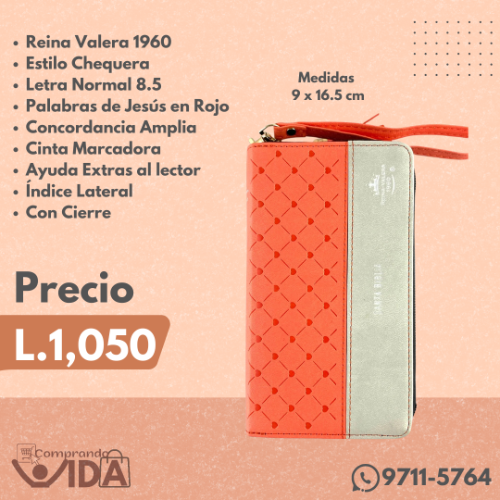 Biblia Chequera Coral Gris