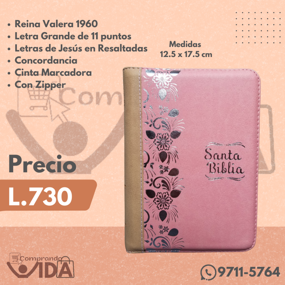 Biblia RVR Rosa-Plata