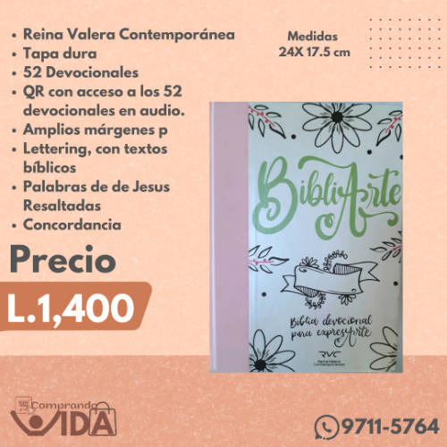 BIBLIARTE LINO ROSA