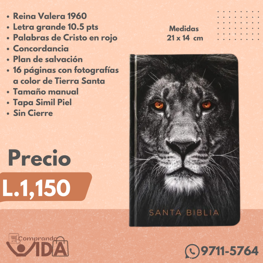 BIBLIA LEON DE JUDA TAPA FINA