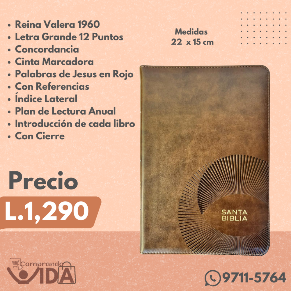 BIBLIA HOLMAN CAFE 12 PT
