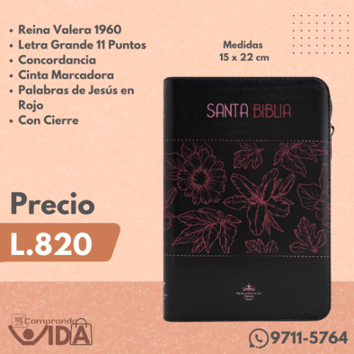 RVR065CZLG PJR NEGRO FUCCIA