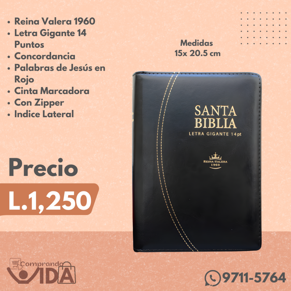 RVR066CLSGIPJRZTI-PRETO