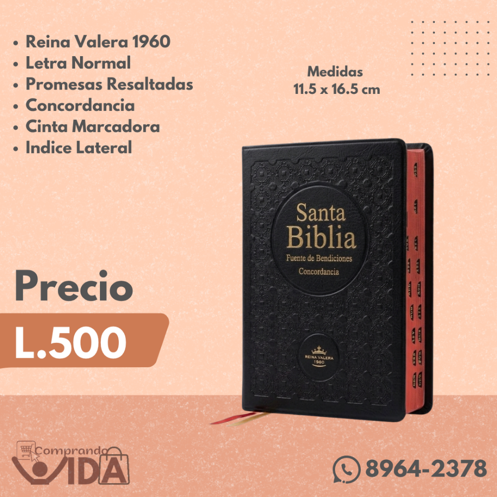 Biblia Negra de Promesas