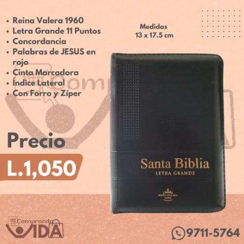 Biblia Letra Grande Negra 11pt