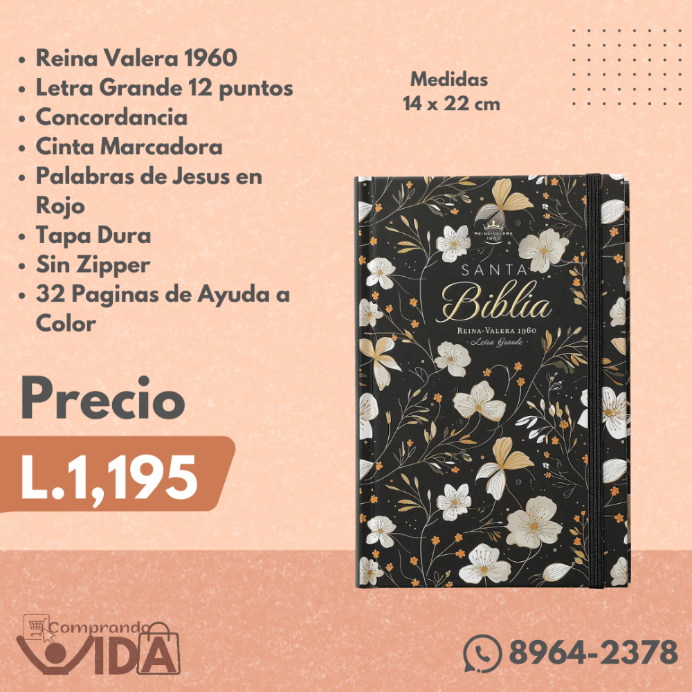 BIBLIA TAPA DURA LETRA GRANDE NEGRA