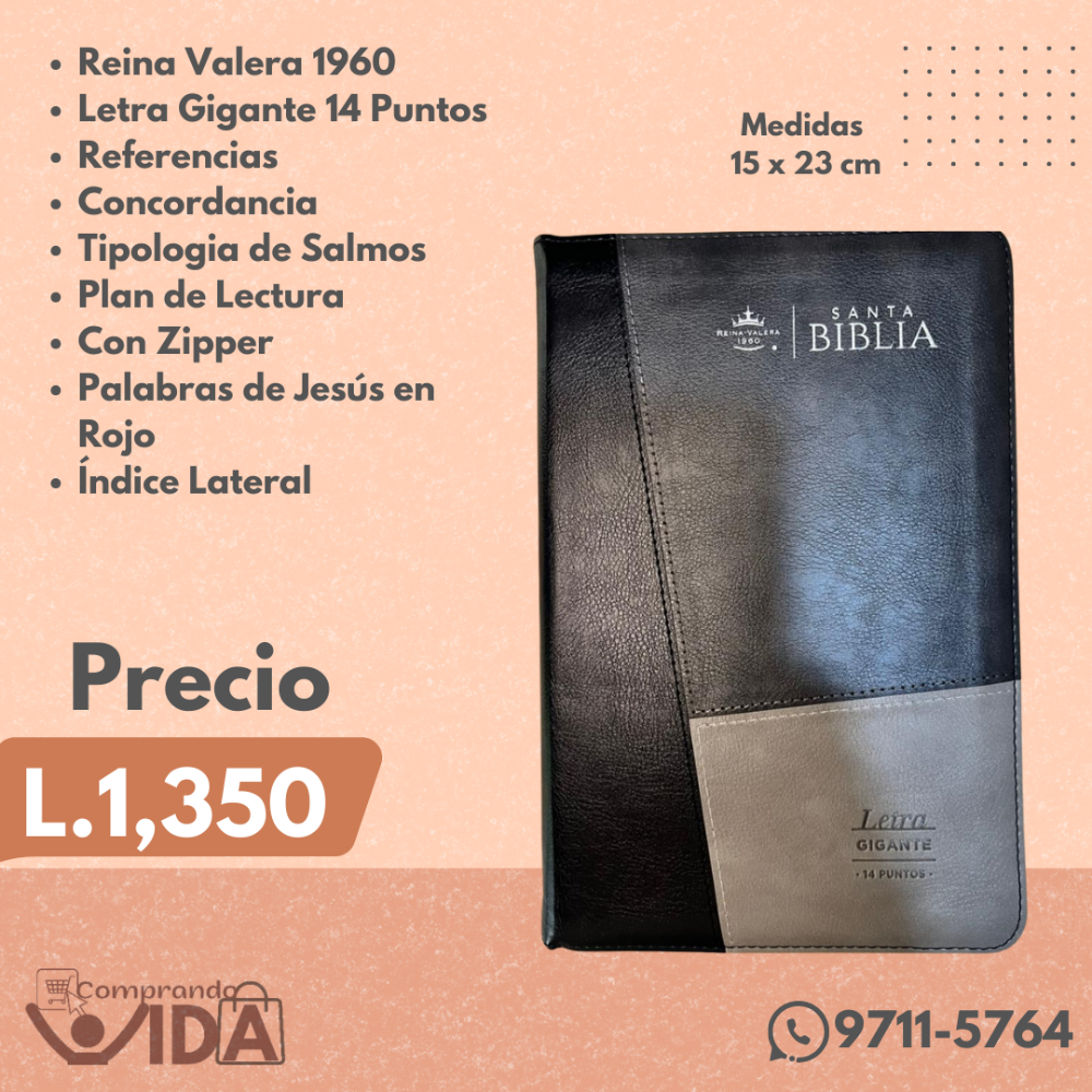 BIBLIA LETRA GIGANTE 14 PT NEGRA GRIS