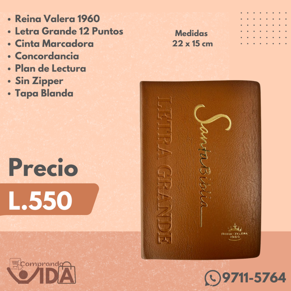 RVR062CLG PE MARRON