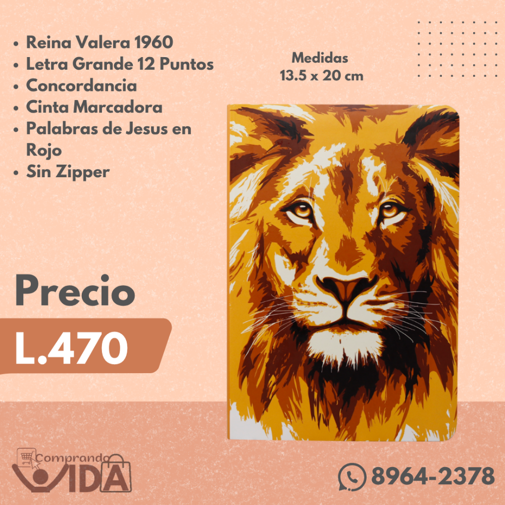 RVR.61CLGPJR-LEON