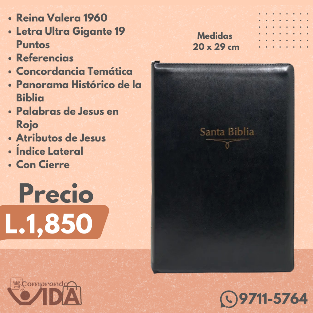 BIBLIA ULTRAGIGANTE HOLMAN NEGRA 19 PT