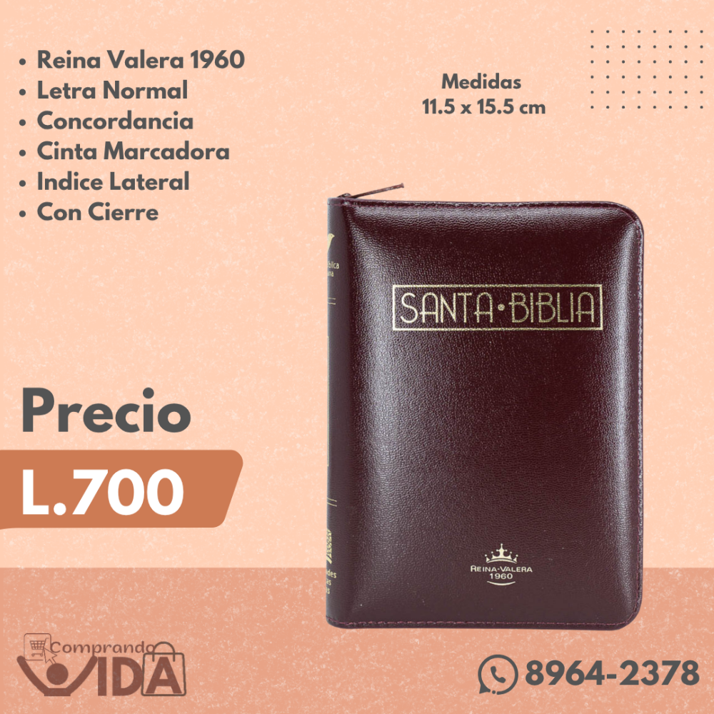Biblia Letra Normal Vino