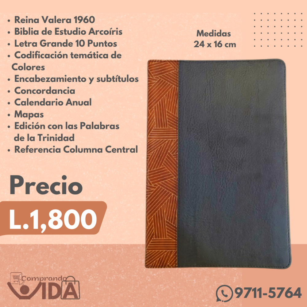 BIBLIA DE ESTUDIO ARCOIRIS