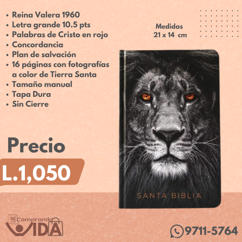 BIBLIA LEON DE JUDA TAPA DURA