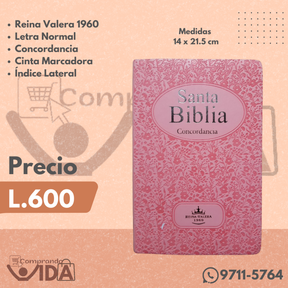 RVR066EC ROSA