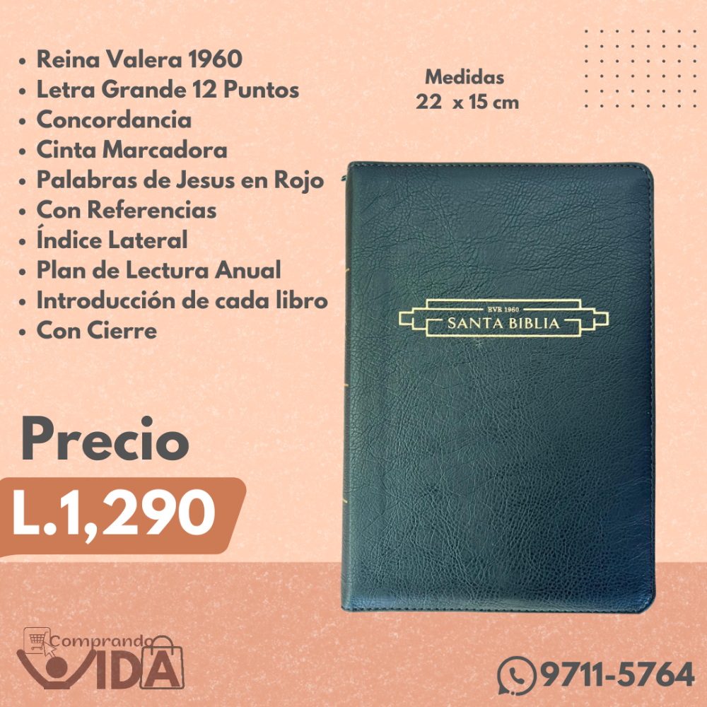 BIBLIA HOLMAN NEGRA 12 PT