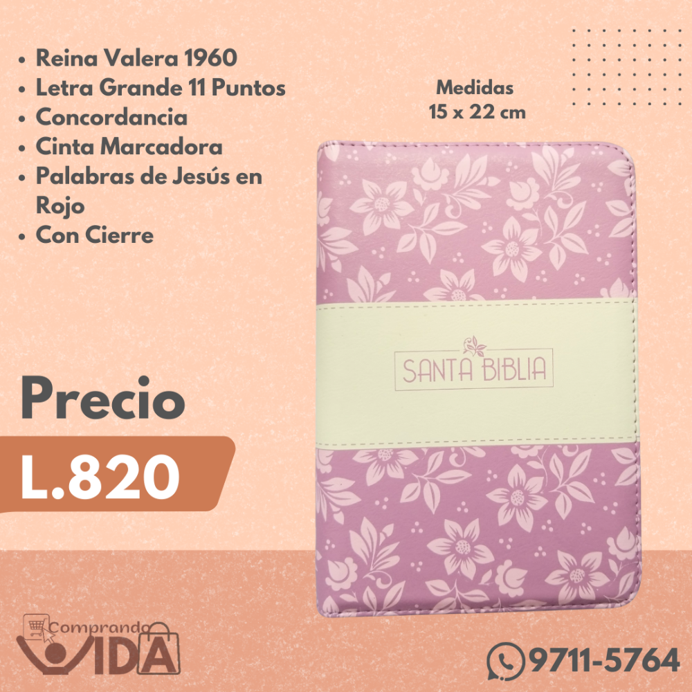 RVR065CZLQPJR MORADO LILA