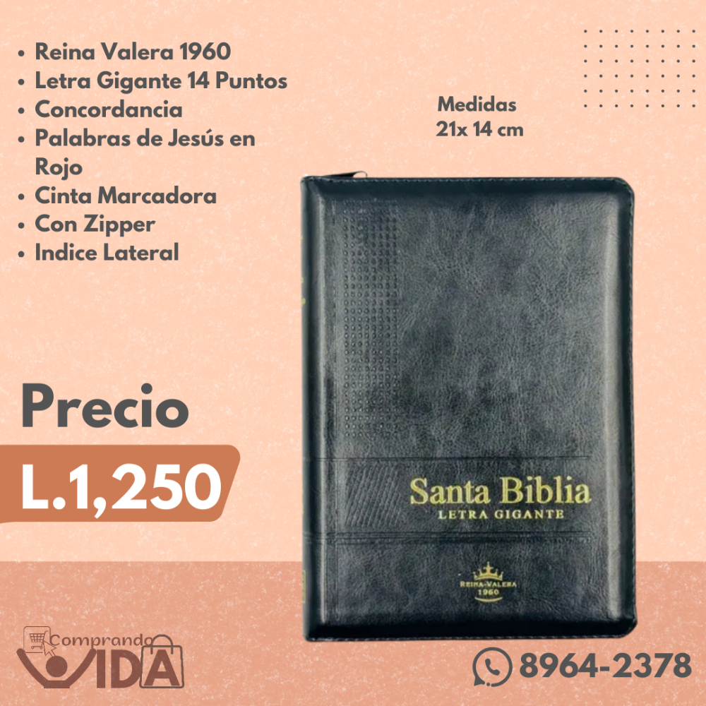 RVR066CLSGIP PRETO