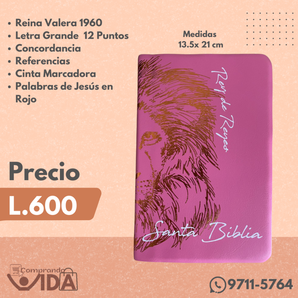 RVR062CLGPJR VINIL Rosada