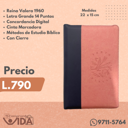 RVR066ZLG COLOR ROSADO AZUL