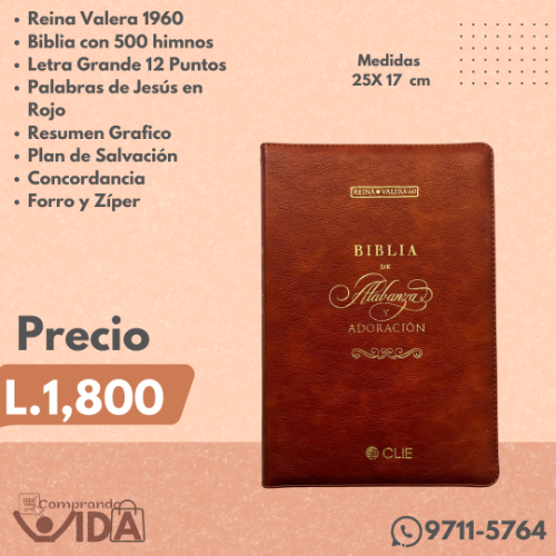 Biblia Letra Grande Con Alabanzas Cafe